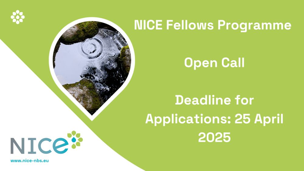 Call for Applications: NICE Fellows Programme Now Open