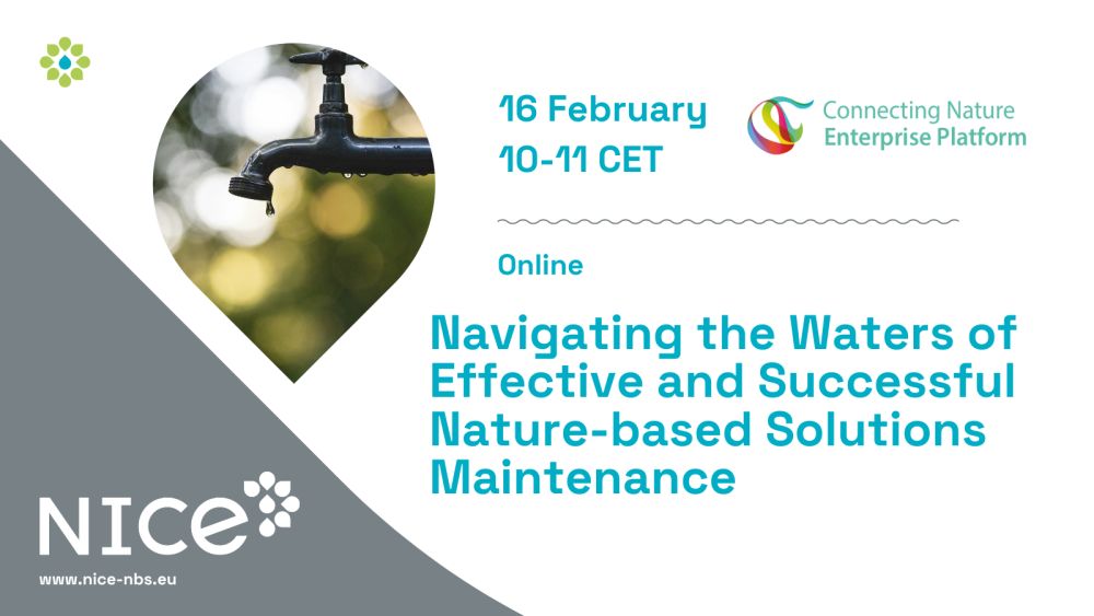 Navigating the Waters of Effective and Successful Nature-based Solutions Maintenance