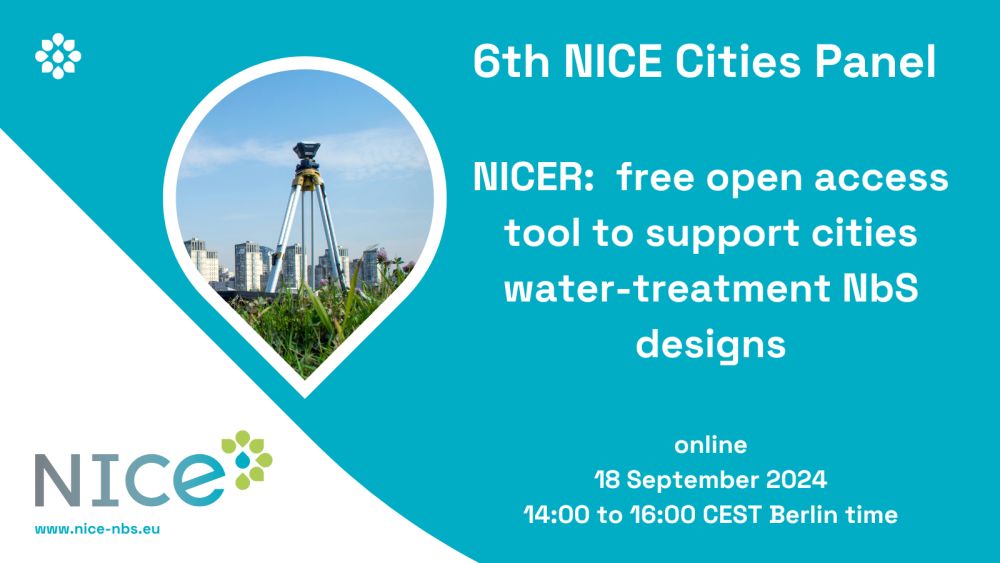 6th NICE Cities Panel