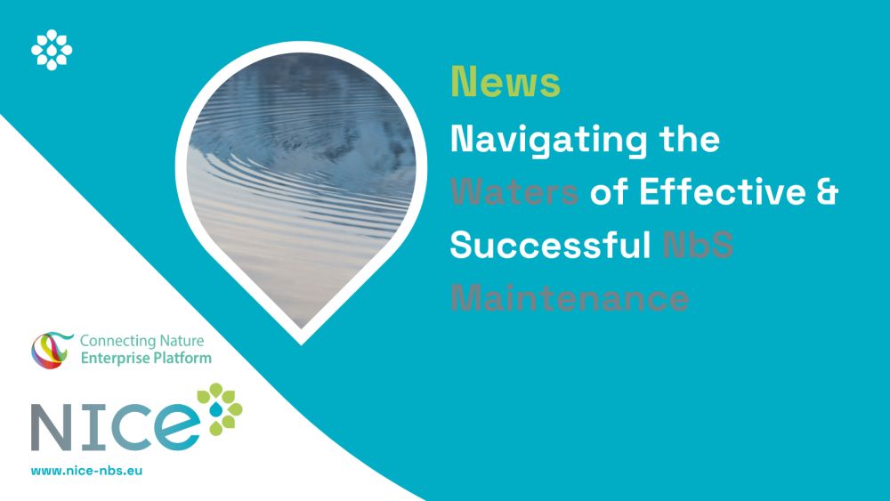 Navigating the Waters of Effective & Successful NbS Maintenance- Key Learnings